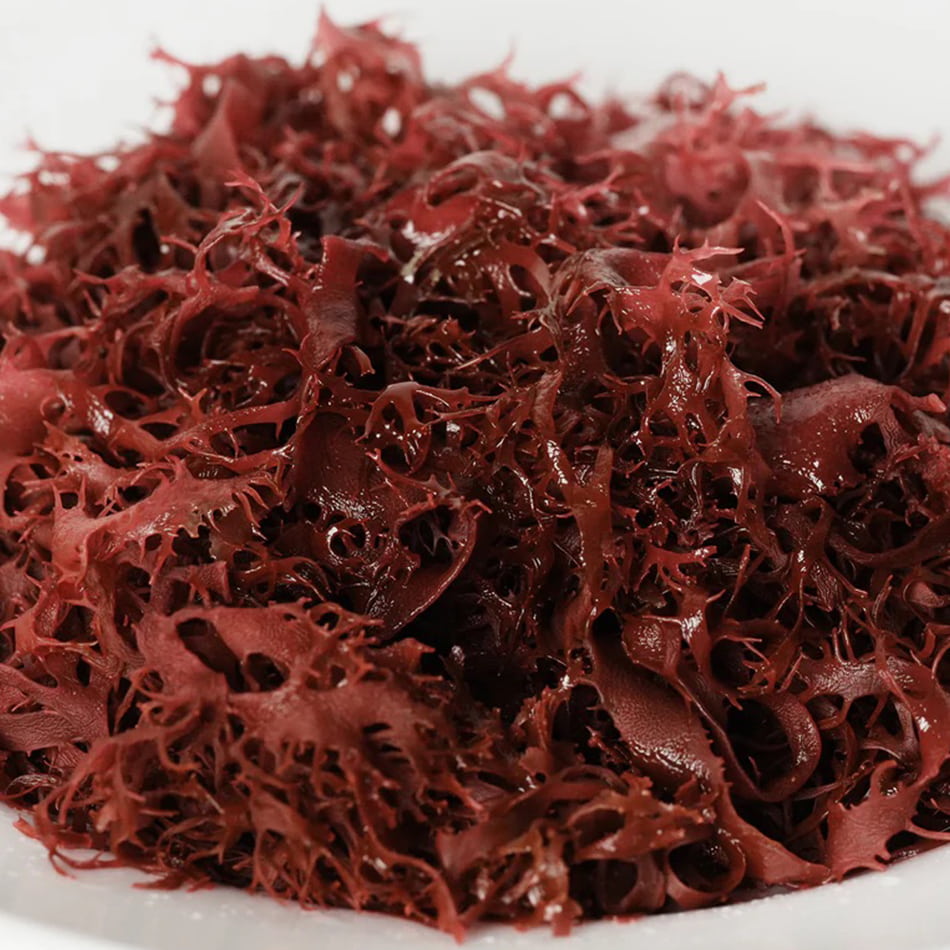 
                    
                      Tosaka Nori Dried Japanese Red Seaweed
                    
                  