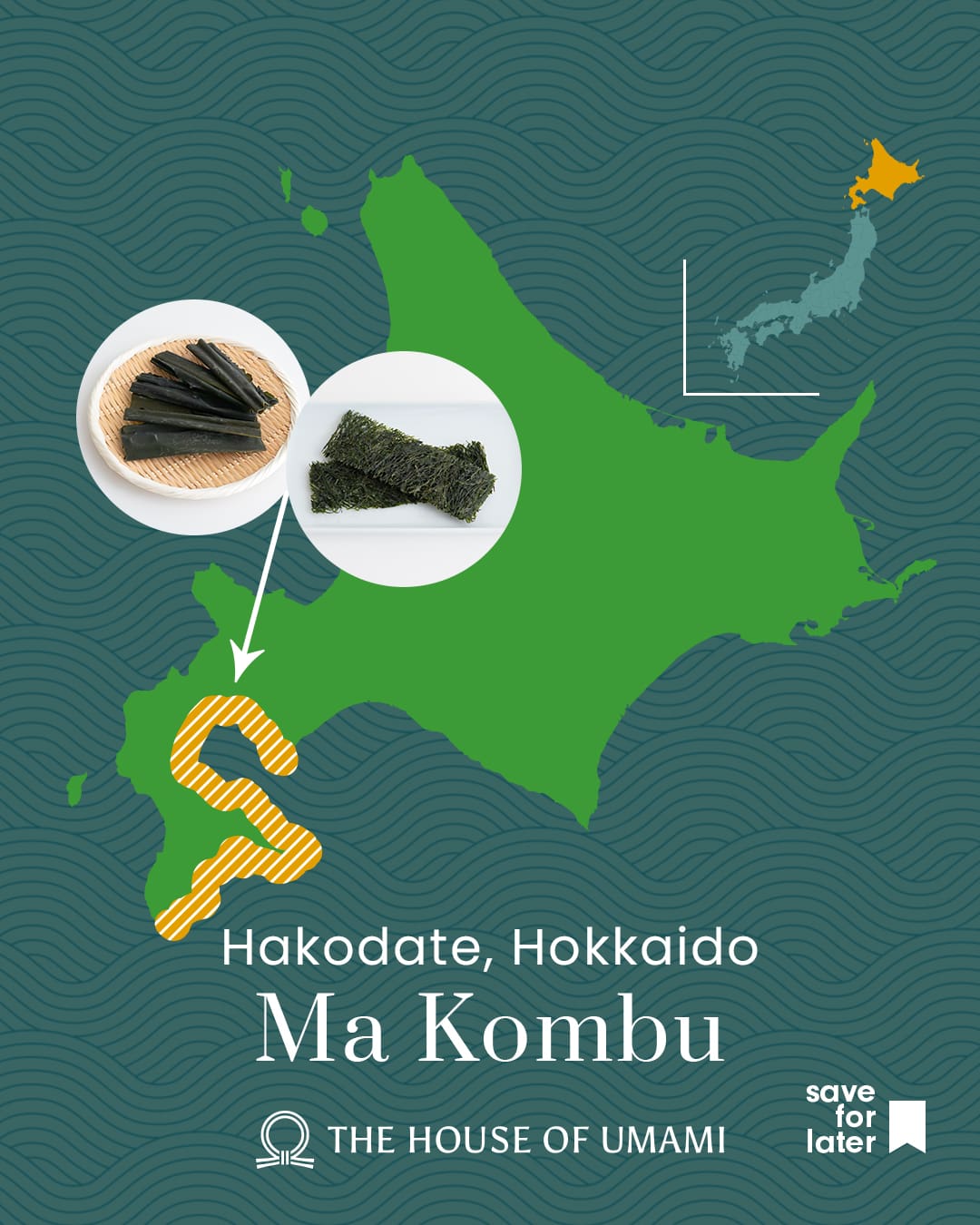 
                    
                      japanese hakodate ma kombu map
                    
                  
