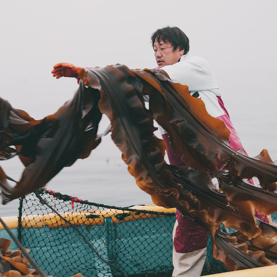 
                    
                      Japanese ma kombu producer on ship taking Kombu from ocean
                    
                  