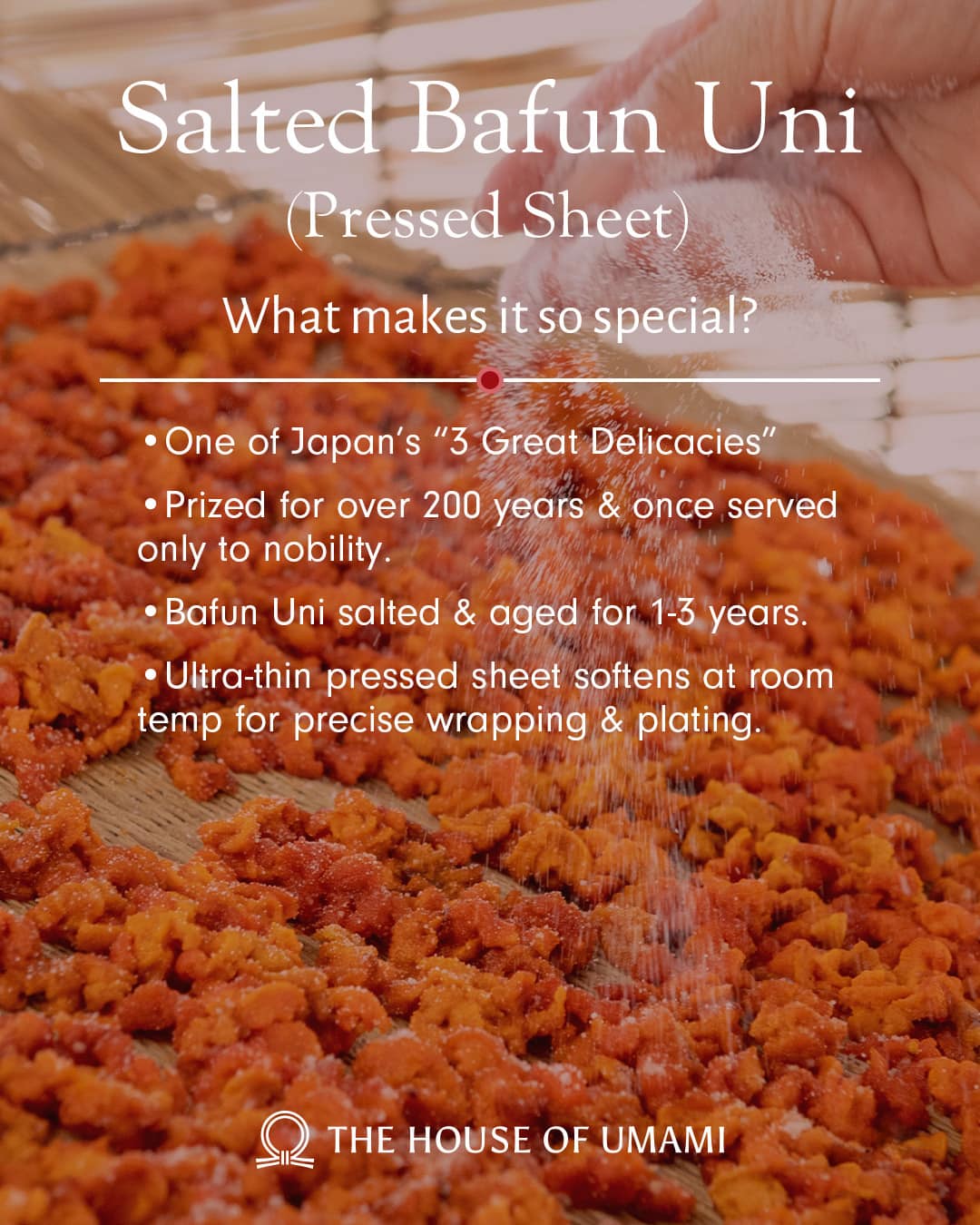 
                    
                      Japanese Salted Bafun Uni (Pressed Sheet) what makes it so special
                    
                  
