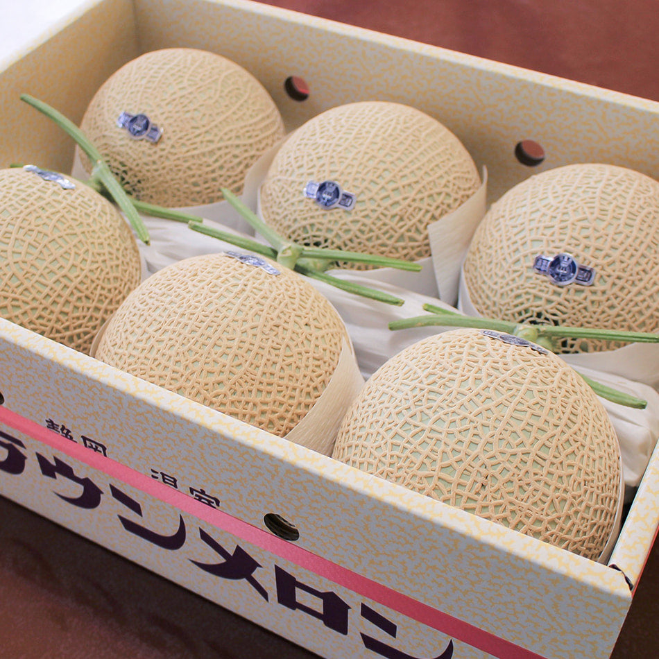 
                    
                      Shizuoka Japanese  Crown Melon 6P
                    
                  