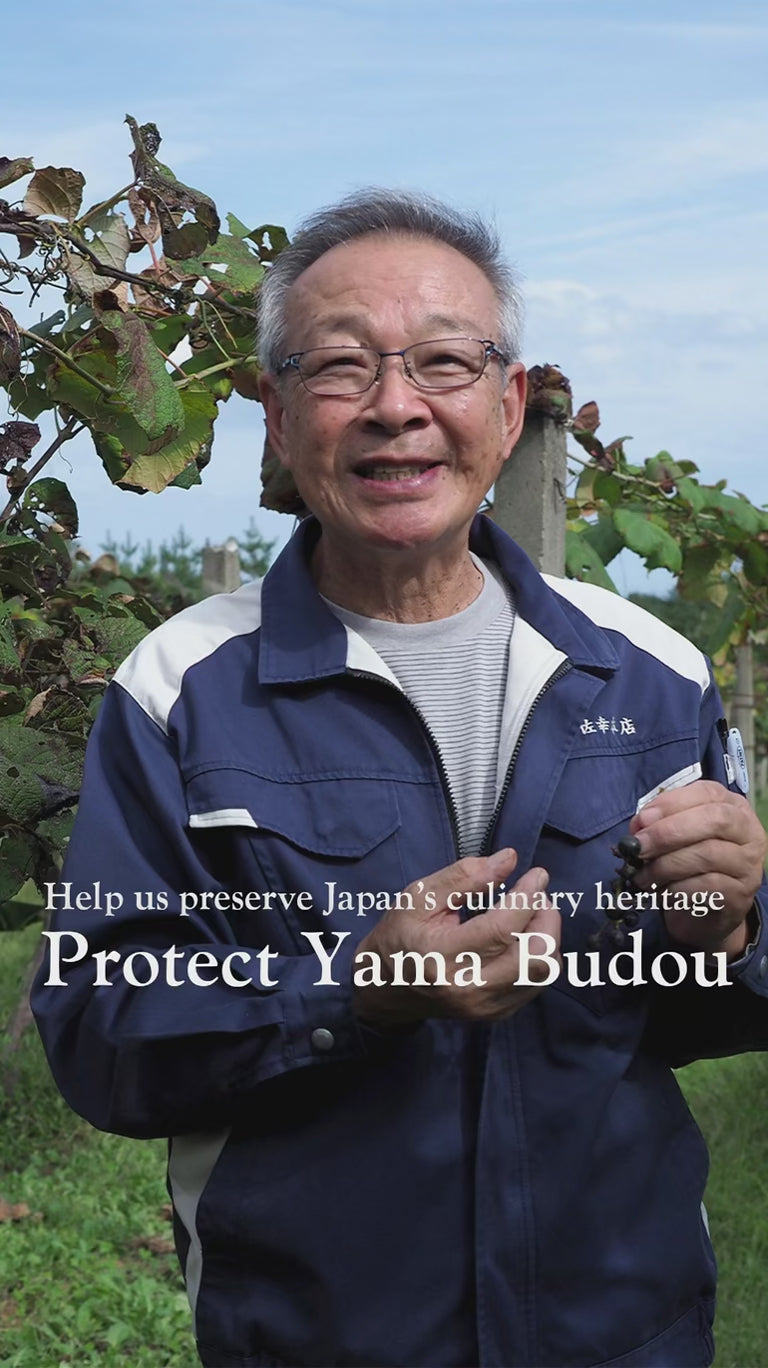 
                    
                      Load and play video in Gallery viewer, japanese yama budou rich fresh duo overview
                    
                  