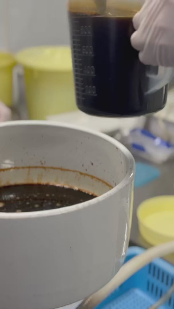 
                    
                      Load and play video in Gallery viewer, Japanese Kinki Fish Overview
                    
                  