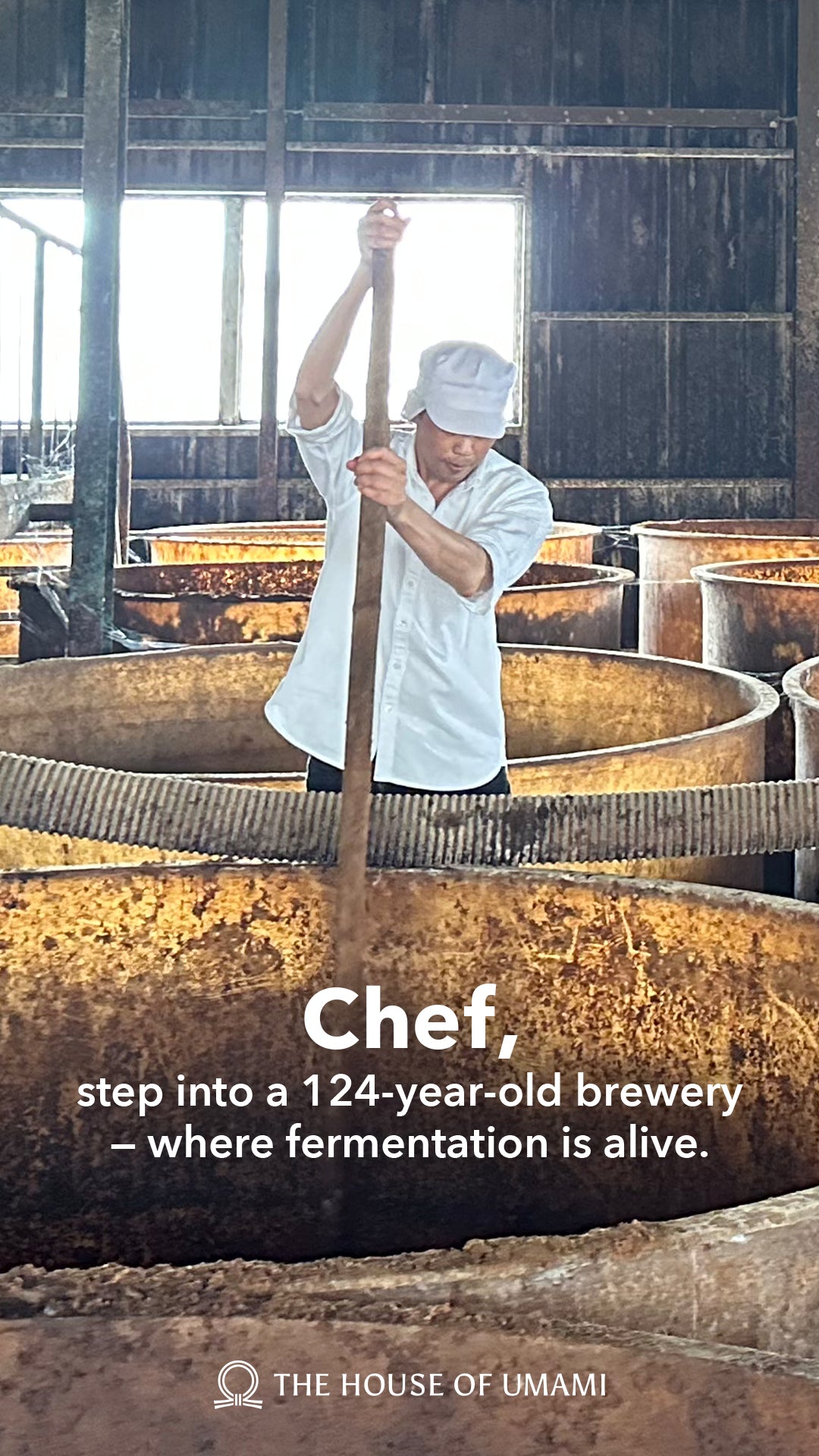 
                    
                      Load and play video in Gallery viewer, Japanese Shizen Ichi Miso - Educational
                    
                  