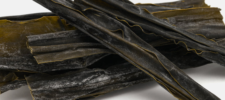 Kombu & Nori