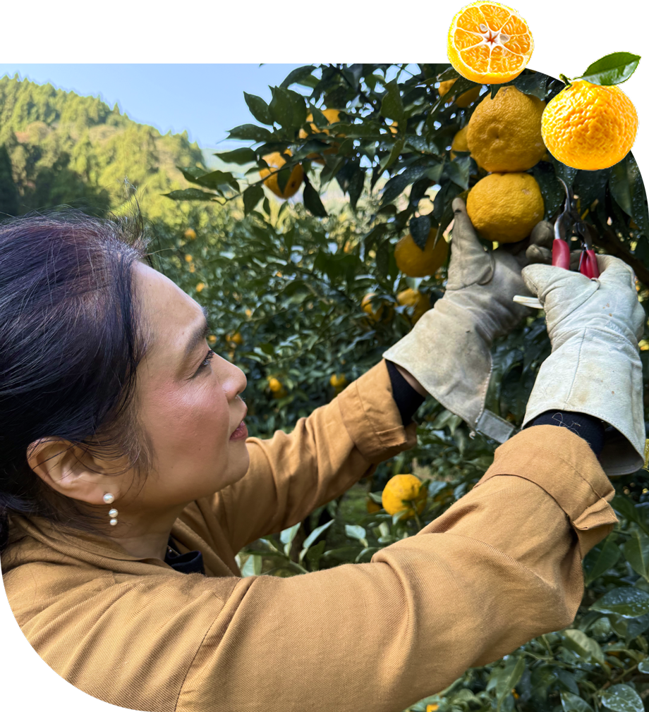 Welcome to The House of Umami!